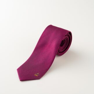 <span class="sport">【限定】2024年・2025年 ツエーゲン金沢</span>スポーツチームネクタイ