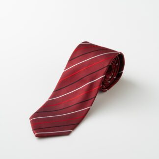 <span class="sport">【限定】2024年 富山グラウジーズ</span>スポーツチームネクタイ