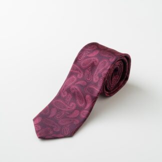 <span class="sport">【限定】2024年・2025年 花園近鉄ライナーズ</span>スポーツチームネクタイ